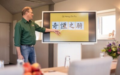 13.4.2026-18.5.2026: Online-Fortgeschrittenen-Seminar Jin Ye