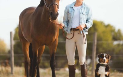 07.03.2026: „Dry Needling-Kompaktkurs Hund“